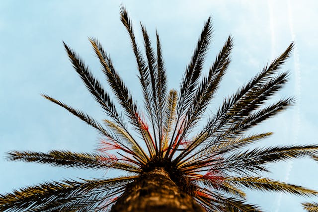 Vacances d&rsquo;été : ce que votre mutuelle ne couvrira pas à l&rsquo;étranger (et comment Europ Assistance comble ce vide)