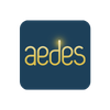 Aedes